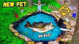 Adding BIG BASS to My Micro Pond **Pond Renovation**