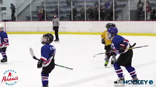 2020 MAHA 8U Cross-Ice Blue Division State Championship.- Birmingham #1 vs. HB Hockey