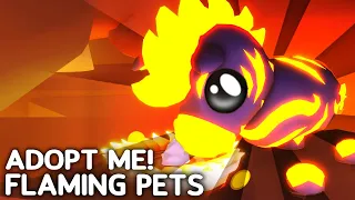 How To Get Flaming Pets In Adopt Me Update! Fire Dimension