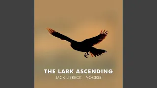 The Lark Ascending (Arr. for violin and choir by Paul Drayton)