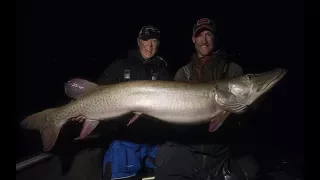 Fall Mille Lacs GIANT Musky Quest - Chasin50