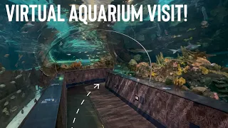 Ripley’s Aquarium of the Smokies in Gatlinburg, Tennessee- Virtual Visit