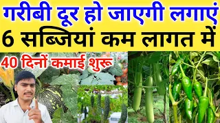 गरीबी दूर हो जाएगी लगाएं 6 सब्जियां | May me konsi sabji lagaye | May me sabji ki kheti | #farming