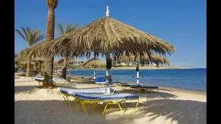 ТУРЫ В ЕГИПЕТ КУПИТЬ ОНЛАЙН. Популярные отели Шарм-Эль-Шейха 5*. Hilton Sharm Dreams Resort 5*