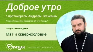 Мат и сквернословие. о.Андрей Ткачев. Проклятия и бесовский лай, матерная брань.