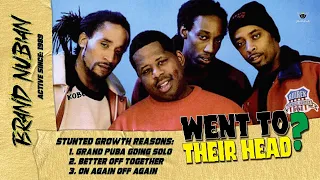 Did Success Go To BRAND NUBIAN's Head? What Happened? Stunted Growth Music