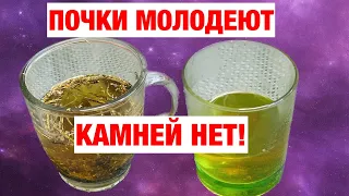 Почки молодеют, чистятся и камни выходят! Смотрите, чем  очищаю почки дома