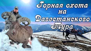 Горная охота на Дагестанского Тура. Mountain hunting on the Dagestan Tur