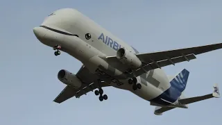 Beluga XL2 landing at airbus broughton