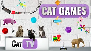 CAT-spellen | Ultieme kattenspeelgoedcompilatie deel 6 🧸🎾🌀