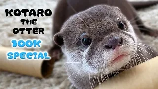 100K SUB SPECIAL! Kotaro the Otter Best Memories