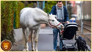 11 Tiere, die nur einmal in Tausend Jahren geboren werden