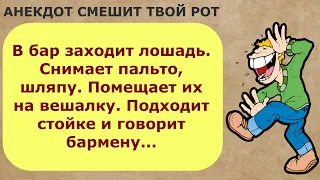 Анекдот до слёз  про умную лошадь)