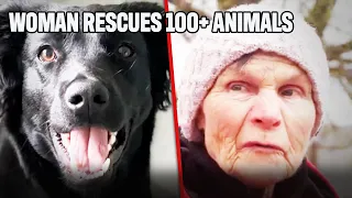 Ukrainian Granny Saves HUNDREDS Of Refugee Pets