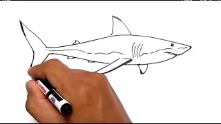 cara menggambar ikan hiu / how to draw shark