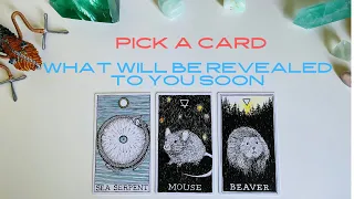 "What Will be Revealed to You Soon" *Pick a Card* (Timeless Tarot)