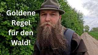 Die Goldene Regel des Waldes - Prinzipien für deinen Waldbesuch