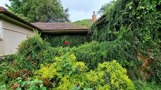 SHOCKED Neighbours Said I Wouldn't SURVIVE MOWING This CONDEMNED Overgrown Hazardous JUNGLE