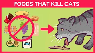 13 Foods That Can Kill Your Cat