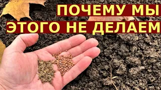 Что МОЖНО посеять, посадить осенью?