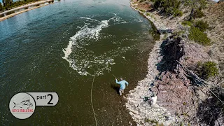 The Art of Montana Carp - Dry Fly Fishing on the Missouri River - Carpology Part 2