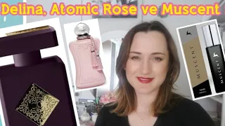 Delina, Atomic Rose ve Muscent Muadilleri