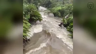 Thousands of evacuees! Emergency after flooding in Sydney, New South Wales, Australia