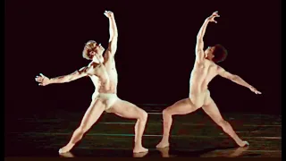 Contemporary & Ballet Male Dancers XIV -  COFL