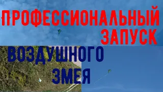 Профессиональный запуск воздушного змея. Самое главное,что нужно знать.Professional Kite + DJI Mini2