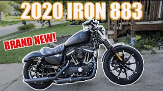 2020 Harley Davidson Sportster Iron 883 Cinematic Walk Around | Black Denim, Vance and Hines Exhaust