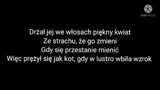 Sanah, Dawid Podsiadło - Ostatnia nadzieja (Tekst) karaoke
