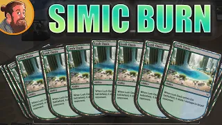 Burn, but Simic | $30 Budget Magic | Standard