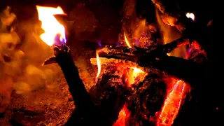 Lakeside Campfire with Relaxing Nature Night Sound - 10 Hours Sleep Sounds