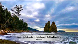 Hiking Rialto Beach/ Hole in the wall (what to expect coming from Seattle)