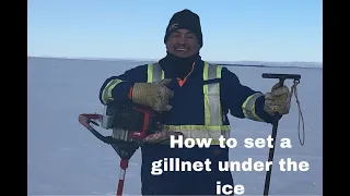 How to set a gillnet under the ice