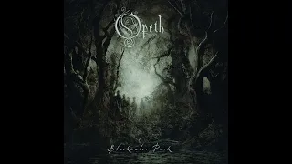 Opeth - The Drapery Falls (Cover)