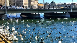 Stockholm, Sweden