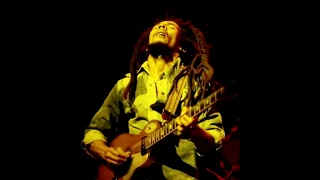 Bob Marley & The Wailers LIVE In Paris 1980 COMPLETE/REMASTERED