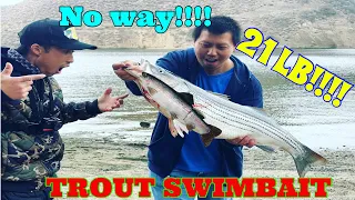 BIGGEST STRIPER I’ve seen CAUGHT ~ Fishing MOST REALISTIC TROUT swimbait