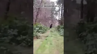 Interesting Bigfoot encounter on an ATV. What do you think? #bigfoot #cryptids #paranormal