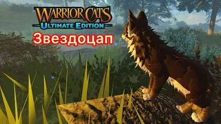 Как сделать скин звездоцапа в котах воителях?! Roblox warrior cats