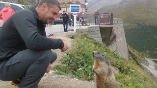 Feed first, then you can stroke. Просто так не даюсь гладить, дай пожрать :)