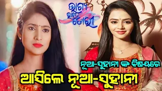 Bhagya Hate Dori Serial lead Actress New Suhani Came & Full Details || Ollywood Twist ||