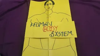 Human body system/ human anatomy for show n tell