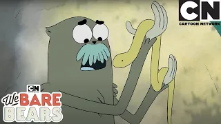 Snake BFF | We Bare Bears | Cartoon Network | Cartoons for kids