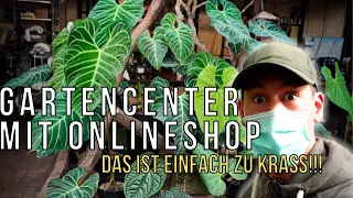 Neues Gartencenter und unfassbar seltene Zimmerpflanzen im Ecuagenera Onlineshop