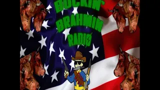 Buckin' Brahmin Radio Fallout mod