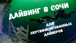 Дайвинг в Сочи. Мыс Видный. Дайвинг для сертифицированных дайверов. С кем понырять опытному дайверу.