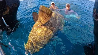 This fish was bigger than 2 PEOPLE!!! {Catch Clean Cook} COCONUT CRUSTED FISH FILLET