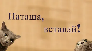 Наташа мы все уронили